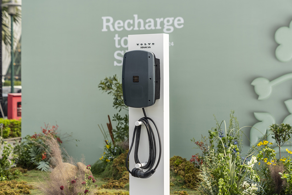 xehay-volvo20ec40-15112024-3