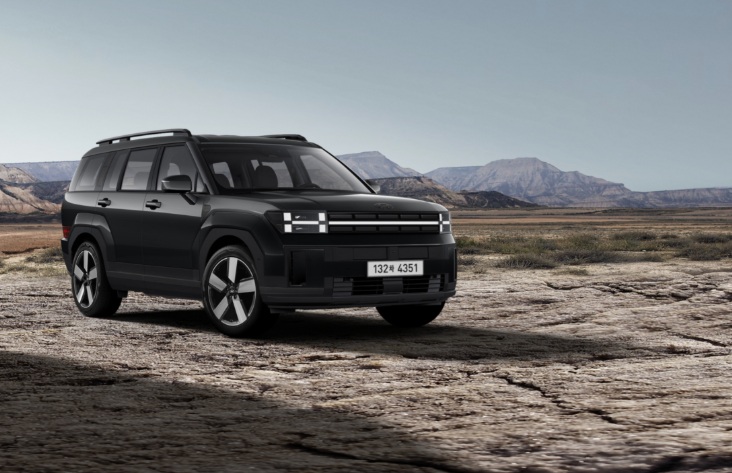 xehay_hyundai20nang20cap_080825_1