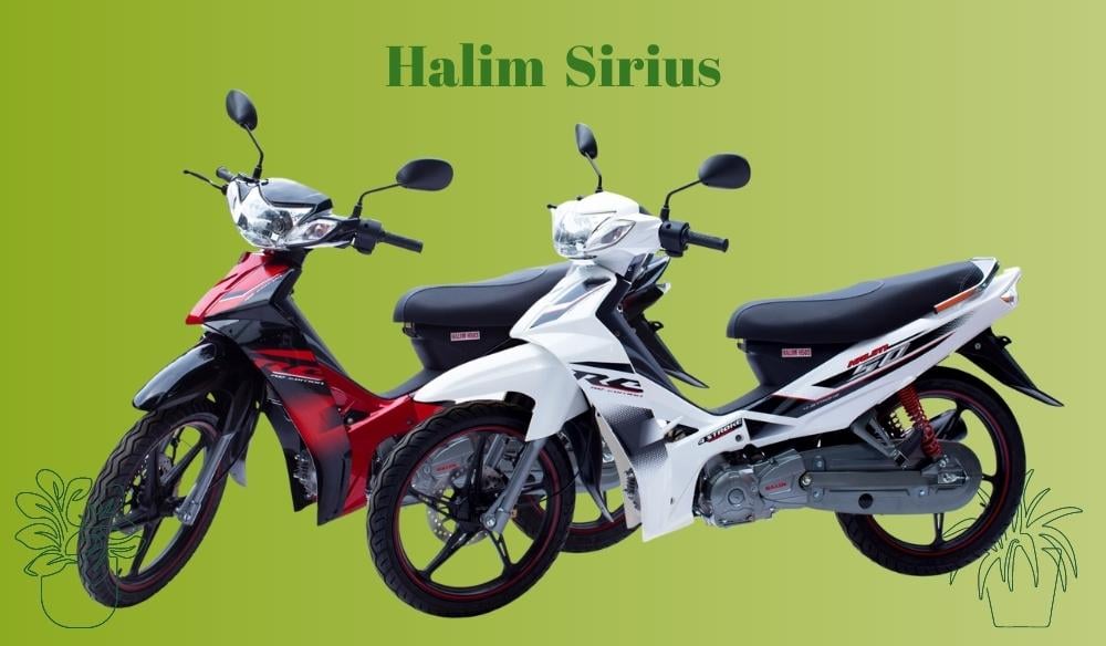 xe máy 50cc cho học sinh nam
