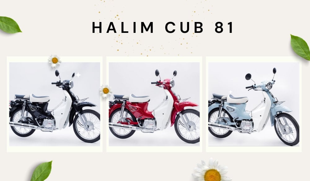 xe-may-50cc-cho-hoc-sinh-nu-halim-cub-81_37da0f04b27a4f65a0b3de3489becec5 xe máy 50cc cho học sinh nữ