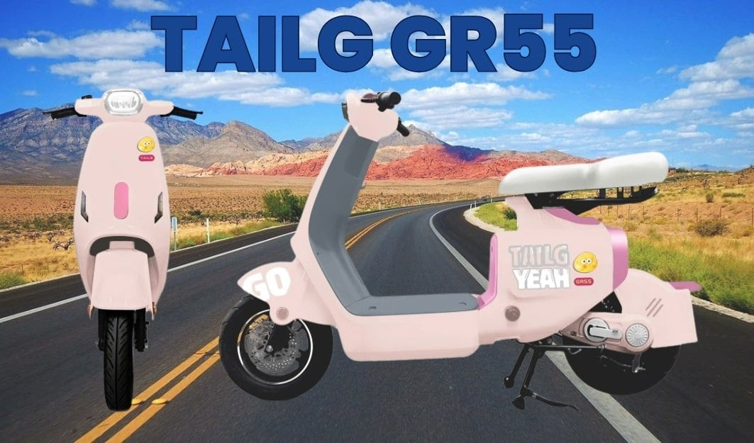 xe-dap-dien-tailg-gr55_b173bae956da4e96b4acbec5a0f6170c