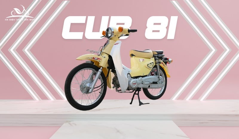 Xe số 50cc Cub 81