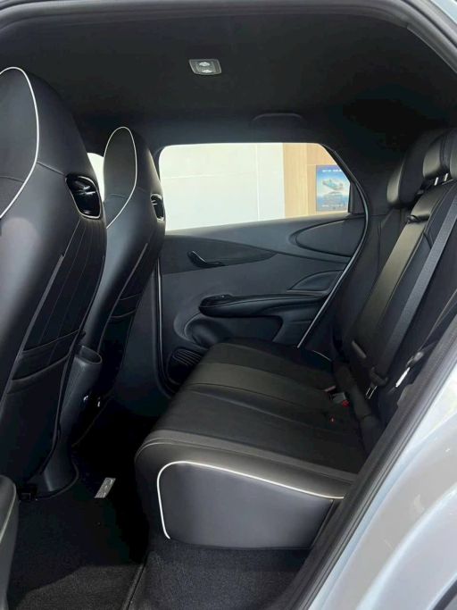 xehay_dolphin20ve20dai20ly_120326_1