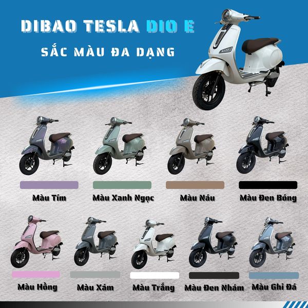 Dibao Tesla Dio E