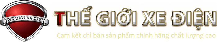 lo-go-2016-the-gioi-xe-dien_-_chu_den-20