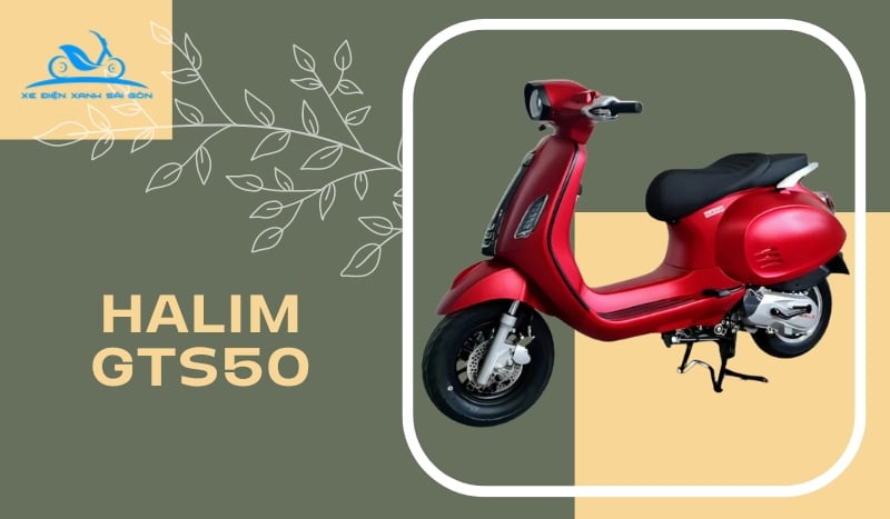 xe-tay-ga-50cc-chay-xang-halim-50cc-gts50_8b0c010d84f94d268c2a09d8f78285b5 Xe Tay Ga 50CC Halim GTS50 Bản 2024