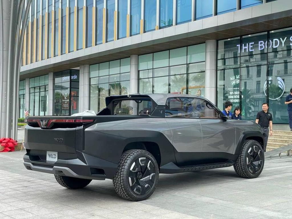 xehay-vf-wild-050524-11