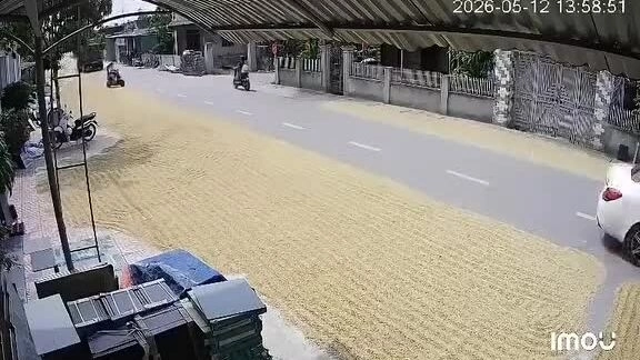 Tai nạn chết người ở Hà Tĩnh: người phơi thóc có thể bị truy cứu trách nhiệm