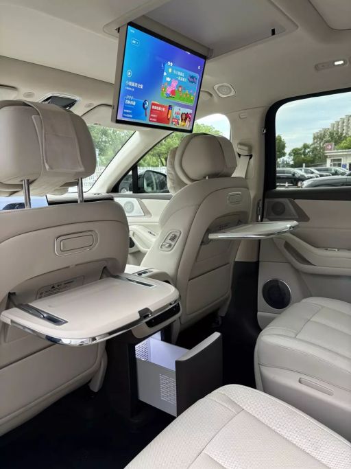 xehay_byd20denza20n8l_250626_3