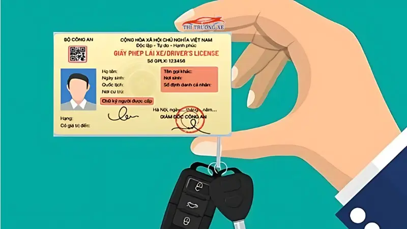 Cấu trúc bài thi sát hạch lý thuyết bằng lái xe A1 mới nhất