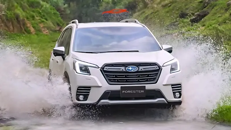 Giá lăn bánh Subaru Forester 2024