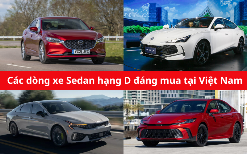 Xe Sedan hạng D là các mẫu xe cỡ trung có kiểu dáng thanh lịch và sang trọng, chiều dài cơ sở của dòng xe này thường ở mức 2800mm