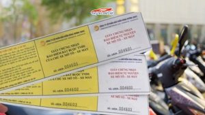 Cần mang bảo hiểm TNDS khi đi phượt dịp Tết