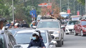 Lựa chọn thuê ô tô tự lái theo mục đích dùng