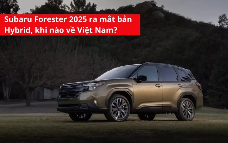 Subaru Forester 2025 ra mắt bản Hybrid, Khi nào về Việt Nam?