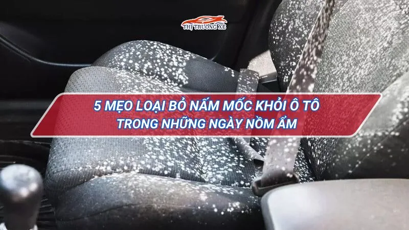 5 mẹo loại bỏ mấm móc khỏi ô tô trong mùa nồm ẩm