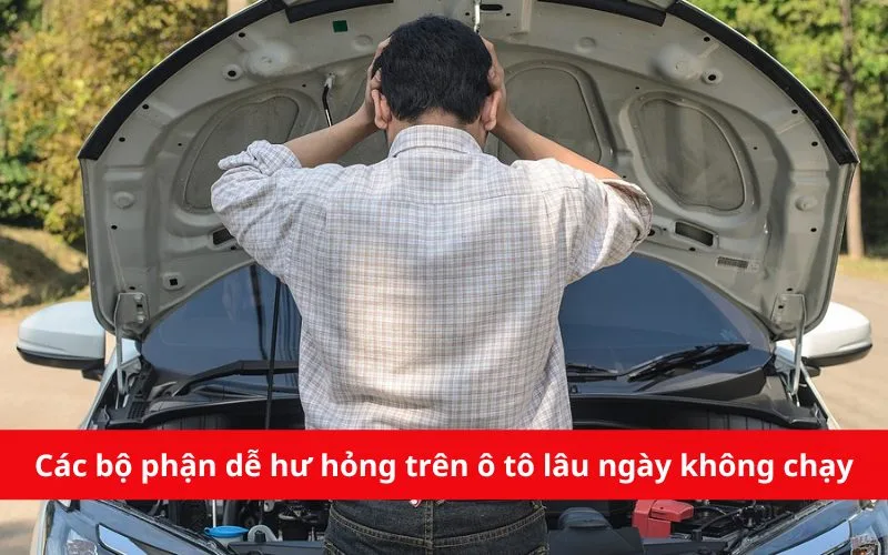 Các bộ phận dễ hư hỏng trên xe ô tô lâu ngày không chạy