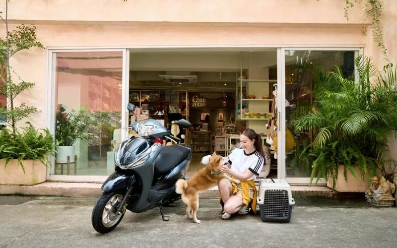Không chỉ thiết kế, Honda Lead 2025 sau khi được nâng cấp còn mang đến khả năng vận hành tiết kiệm nhiên liệu tuyệt vời cho người sử dụng