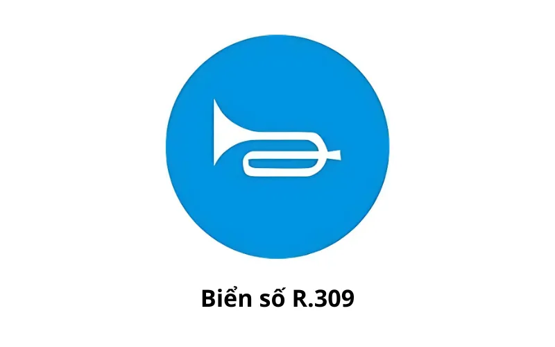 Biển số R.309 "Ấn còi"