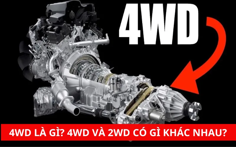 Hệ dẫn động 4WD là gì? 4WD và 2WD có gì khác nhau?
