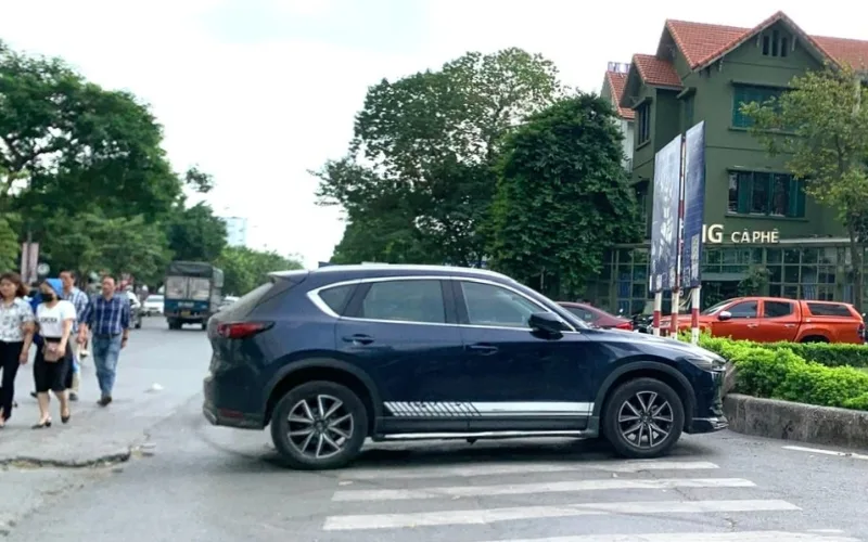 Vạch kẻ đường cho người đi bộ và tầm quan trọng của nó