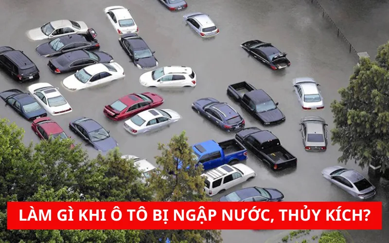 Cần làm gì khi xe ô tô bị ngập nước, thủy kích?