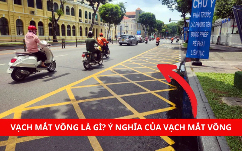 Vạch mắt võng là gì? Ý nghĩa của vạch mắt võng