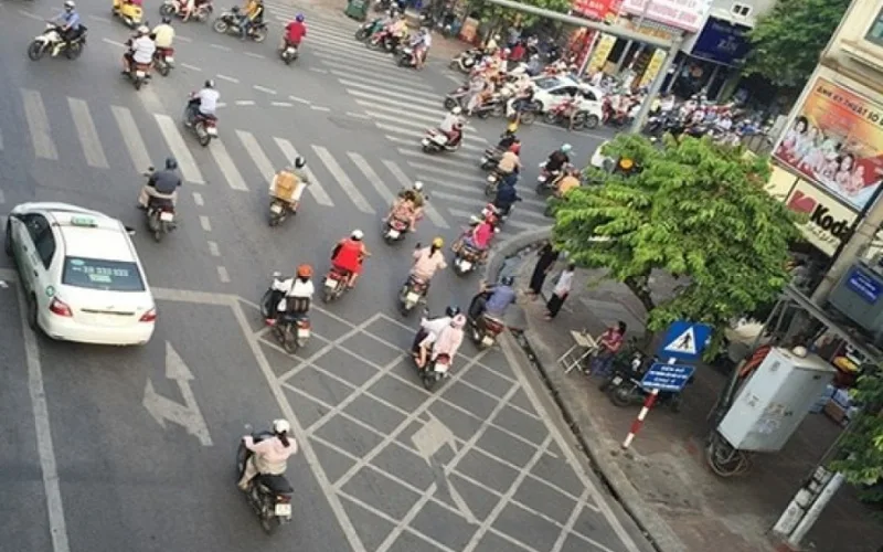 Vạch mắt võng