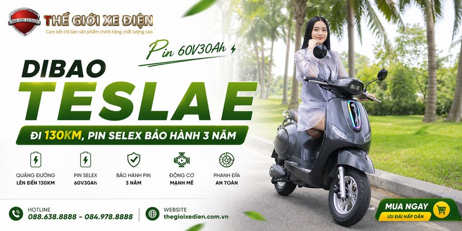 Dibao Tesla Dio Pin 60v30Ah Đi 130Km